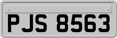 PJS8563