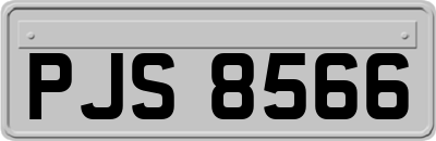 PJS8566