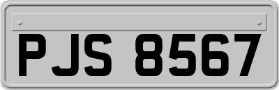 PJS8567