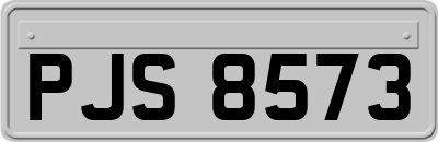 PJS8573