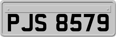 PJS8579