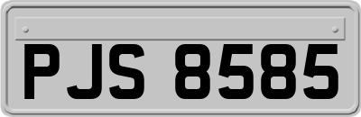 PJS8585