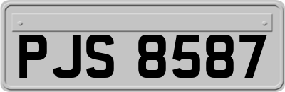 PJS8587