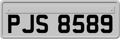 PJS8589