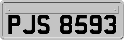 PJS8593