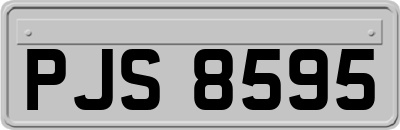 PJS8595