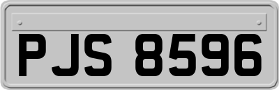 PJS8596