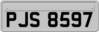 PJS8597