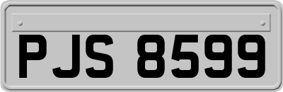 PJS8599