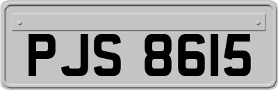 PJS8615