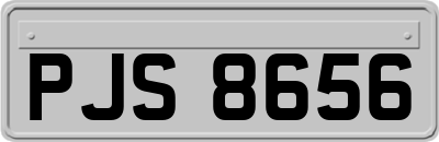 PJS8656
