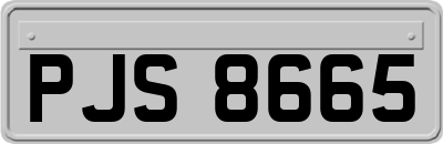 PJS8665