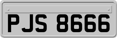 PJS8666