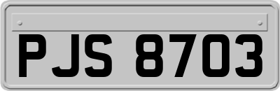 PJS8703