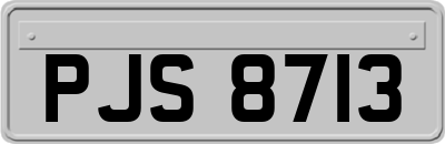 PJS8713