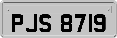 PJS8719