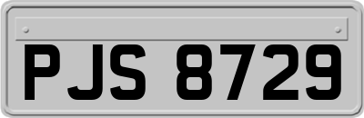 PJS8729