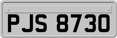 PJS8730