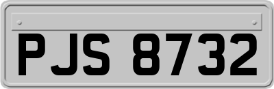 PJS8732