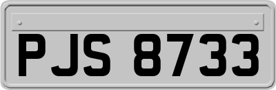 PJS8733
