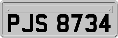 PJS8734