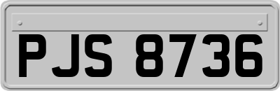 PJS8736