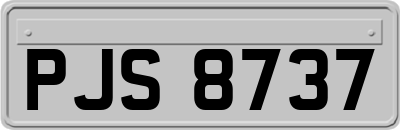 PJS8737