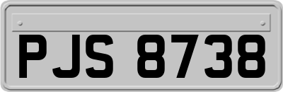 PJS8738