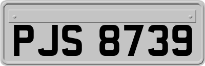 PJS8739