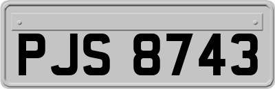 PJS8743