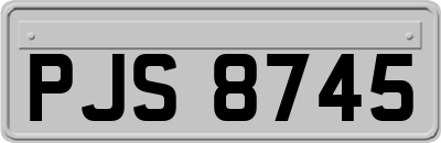 PJS8745