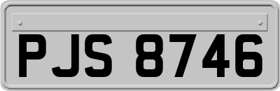 PJS8746