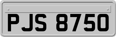 PJS8750