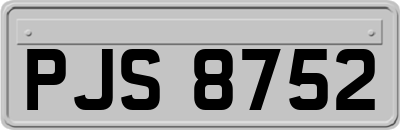 PJS8752
