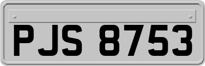 PJS8753