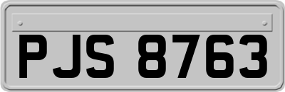 PJS8763