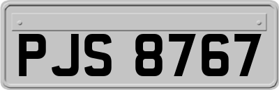 PJS8767