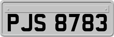 PJS8783