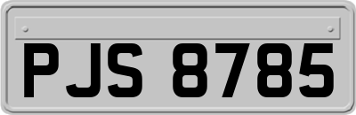 PJS8785