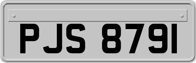 PJS8791