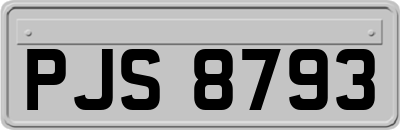 PJS8793