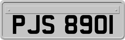 PJS8901