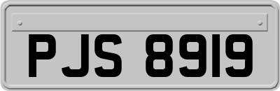 PJS8919