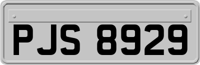 PJS8929