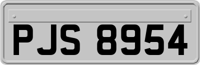 PJS8954