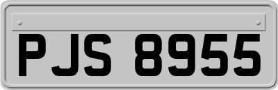 PJS8955