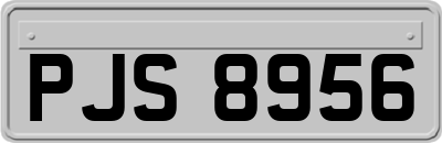 PJS8956