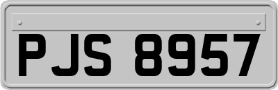 PJS8957
