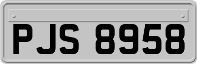 PJS8958