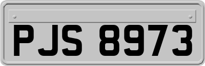 PJS8973